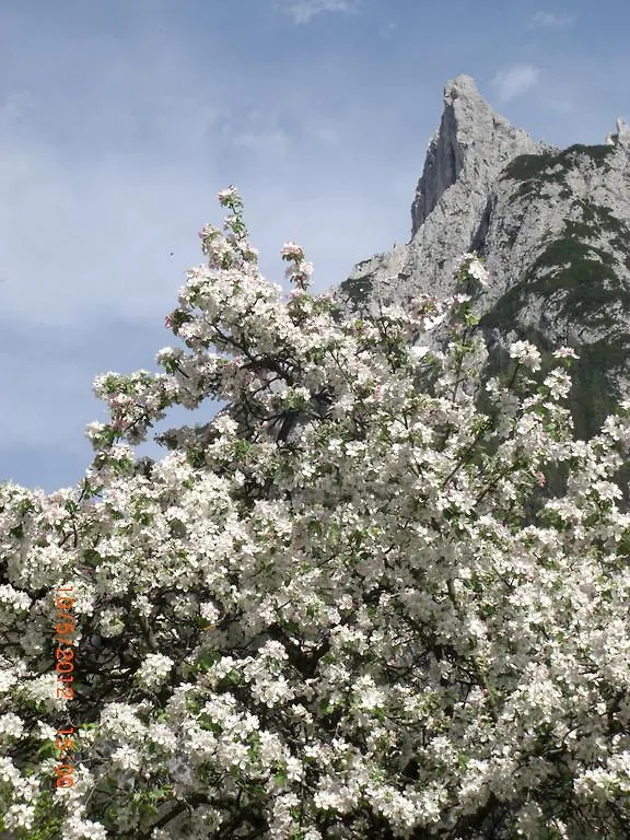 Almroeserl Mittenwald 0*,