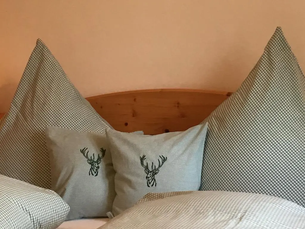 Almroeserl Mittenwald Apartment